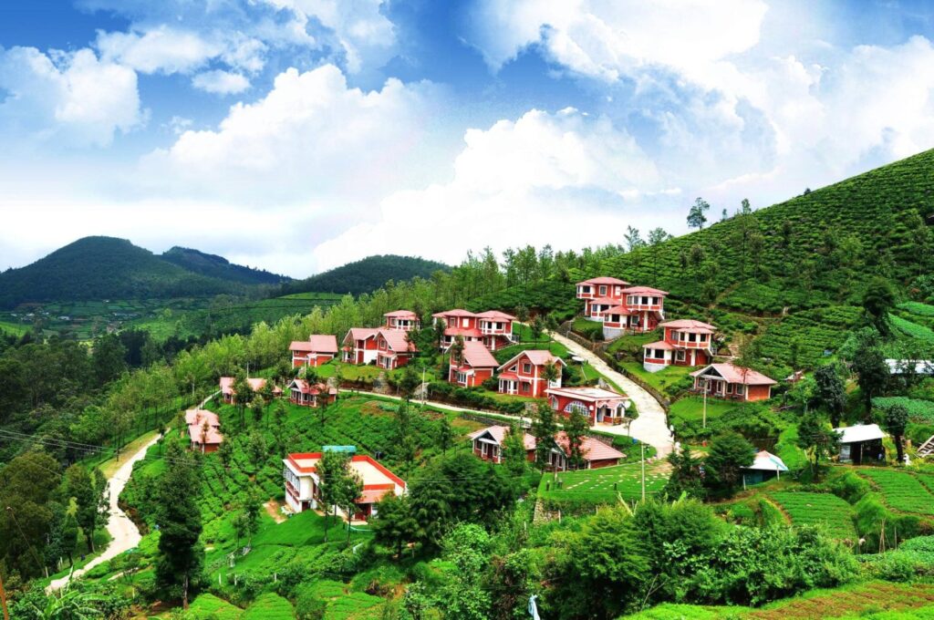 ooty 