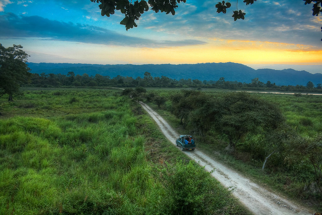 kaziranga