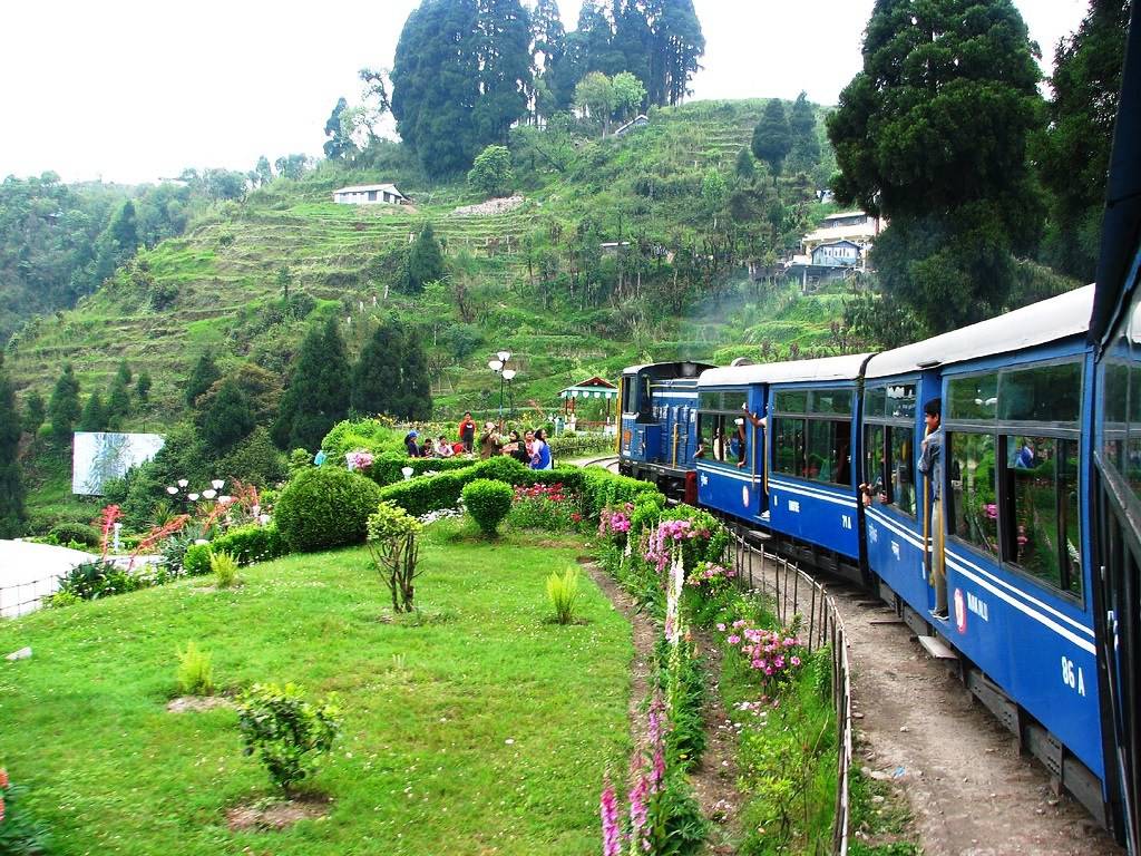 Darjeeling-Toy-Train