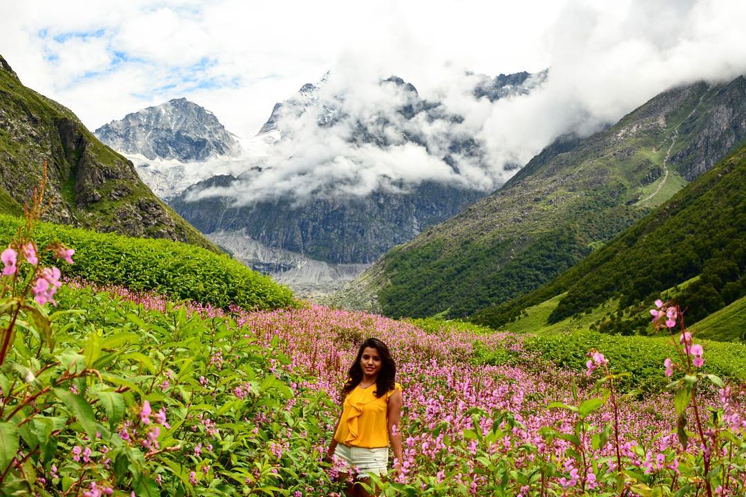 Valley of Flowers trek