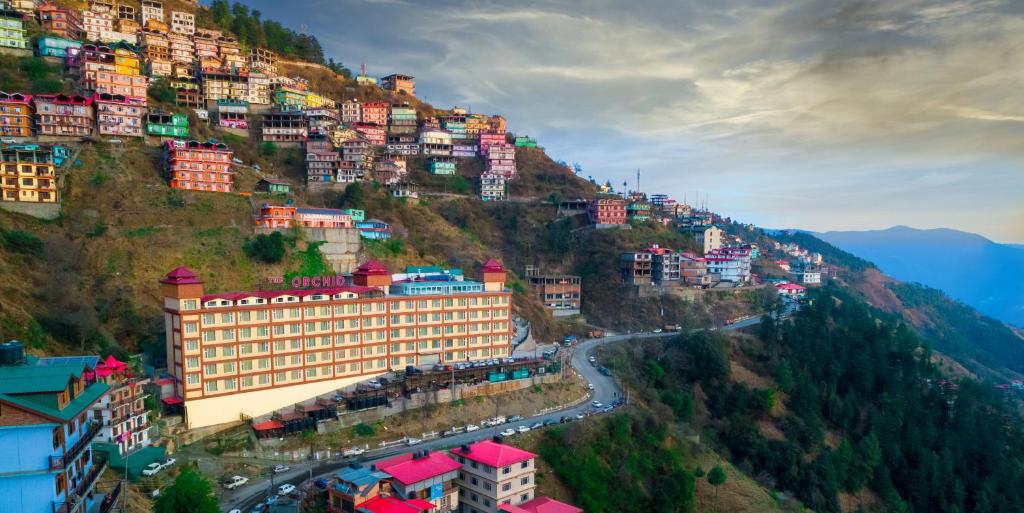 shimla