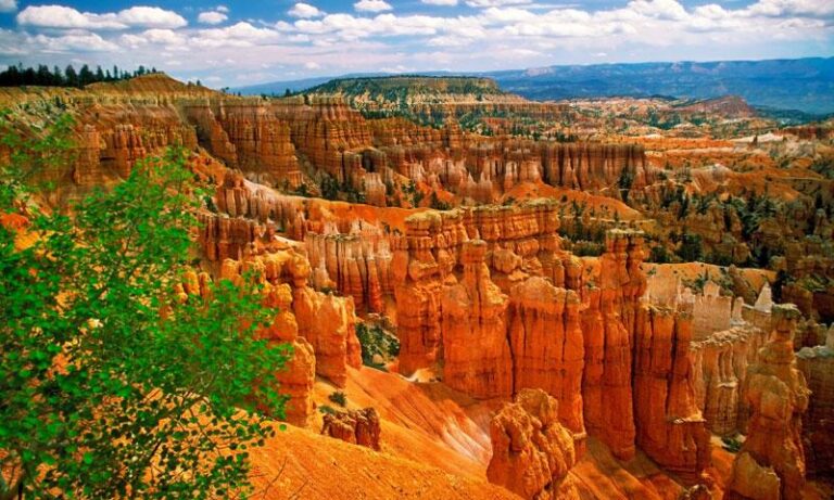 Sunrise Point: The Perfect Spot to Catch Nature’s First Light