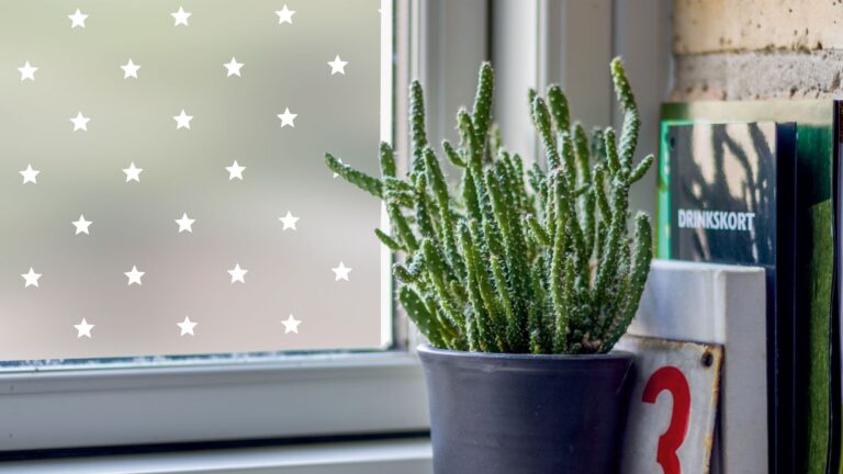 Decorative Window Film Ideas for a Modern Look