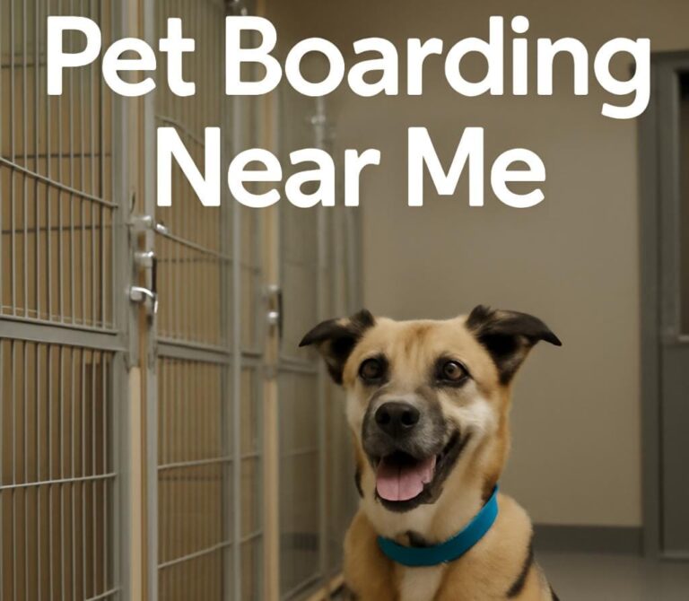 Pet Boarding Near Me: Finding the Best Care for Your Furry Friends