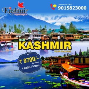 fa1a73e97ac8148ef384cb6f8f4bb8cc kashmir tour 1
