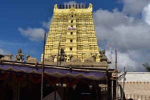 istockphoto 1391221926 612x612 3