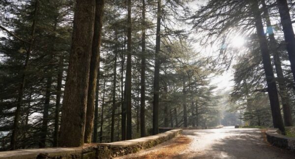 Screenshot 20251110 170638