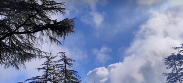 Screenshot 20251110 171952