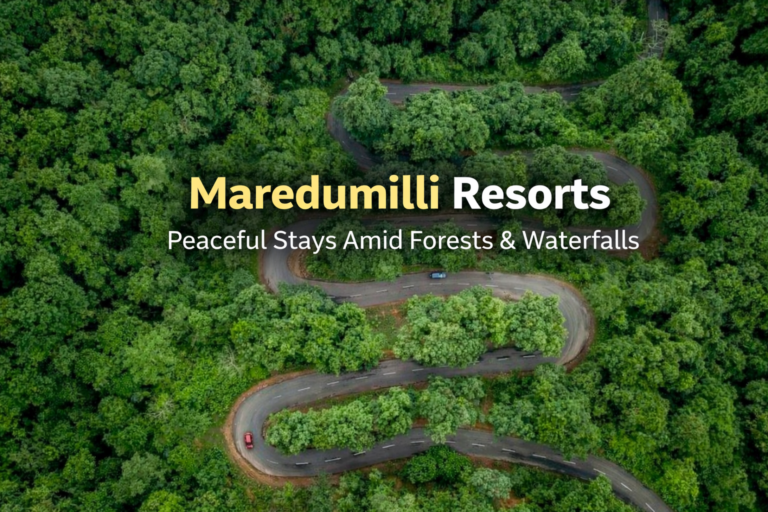 Maredumilli Resorts – Best Stay Options Amid Nature
