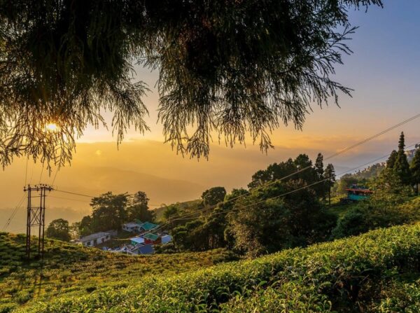 Screenshot 20260402 014443